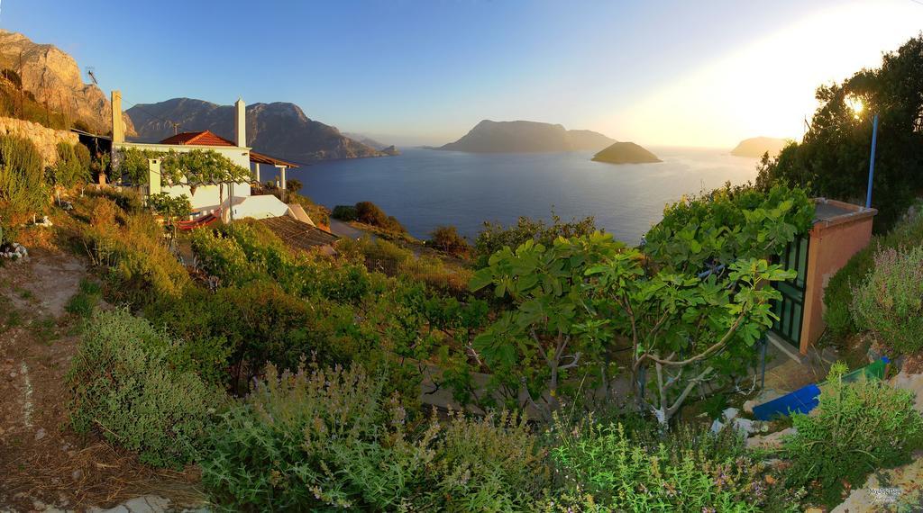 Villa Anna Skalia Екстер'єр фото